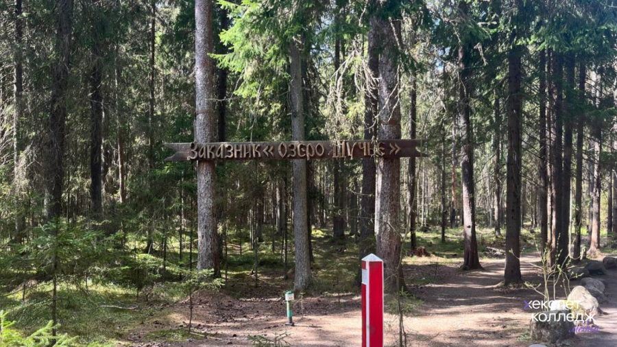 экотропа